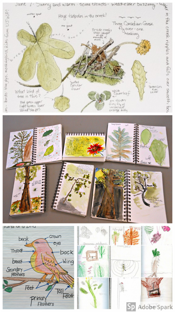 How to Make a Nature Journal for Kids