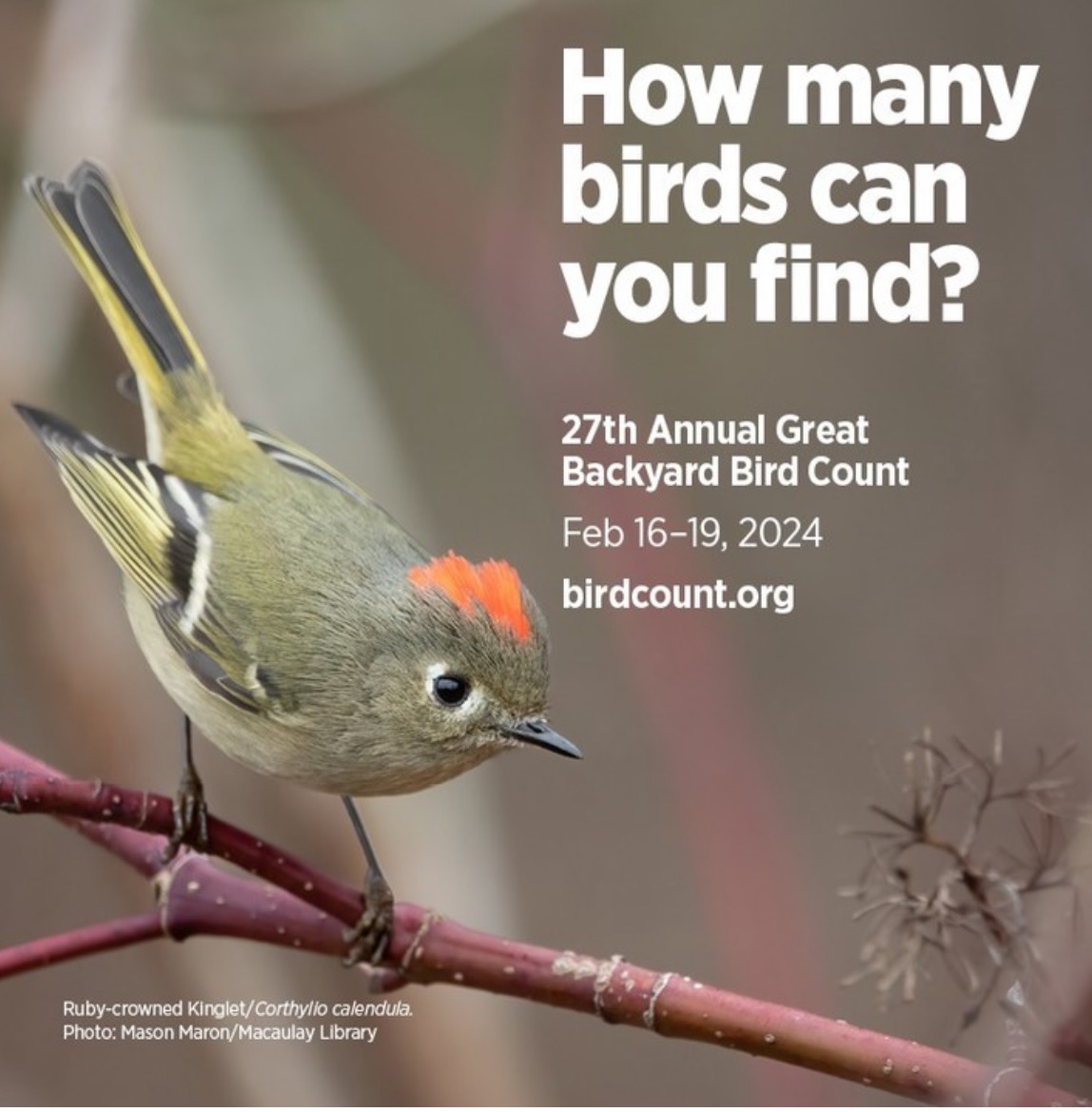 The Great Backyard Bird Count Piedmont Environmental Alliance